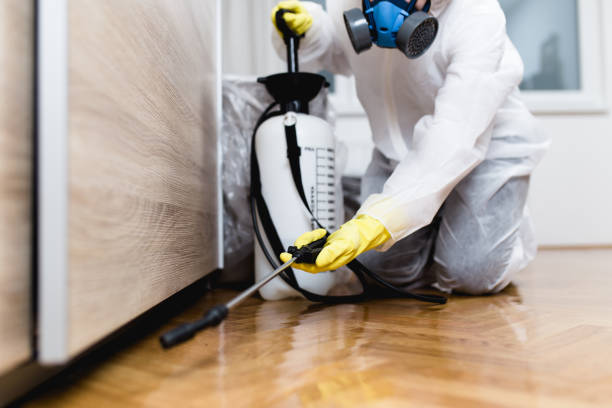Best Emergency Pest Control  in Sebastopol, CA