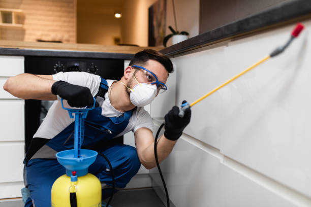 Best Bed Bug Extermination  in Sebastopol, CA
