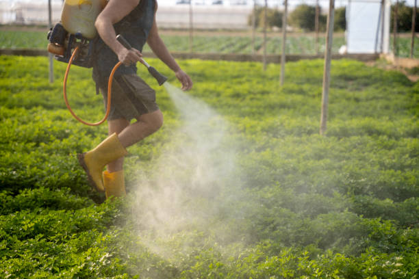 Best Wildlife Control Services  in Sebastopol, CA