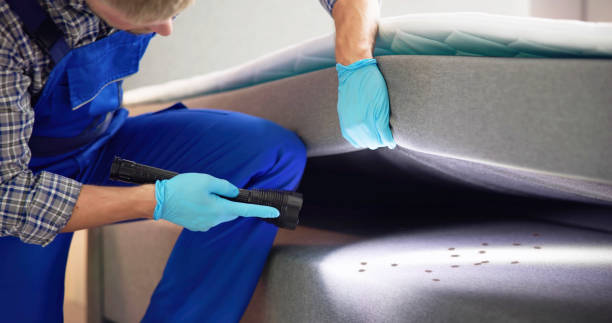 Reliable Sebastopol, CA Pest Control Solutions