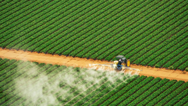 Best Termite Control Services  in Sebastopol, CA